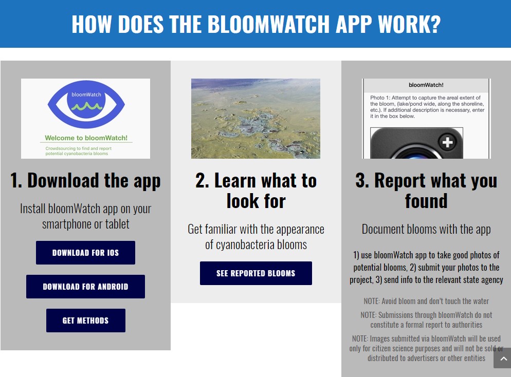 Algal Bloom App